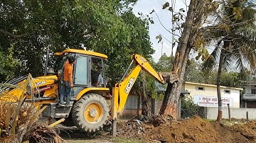 JCB VS BIG TREE - Powerful JCB Pushing Down A Big Tree - JCB VIDEO 5