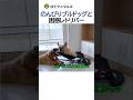 のんびりブルドッグと困惑レトリバー