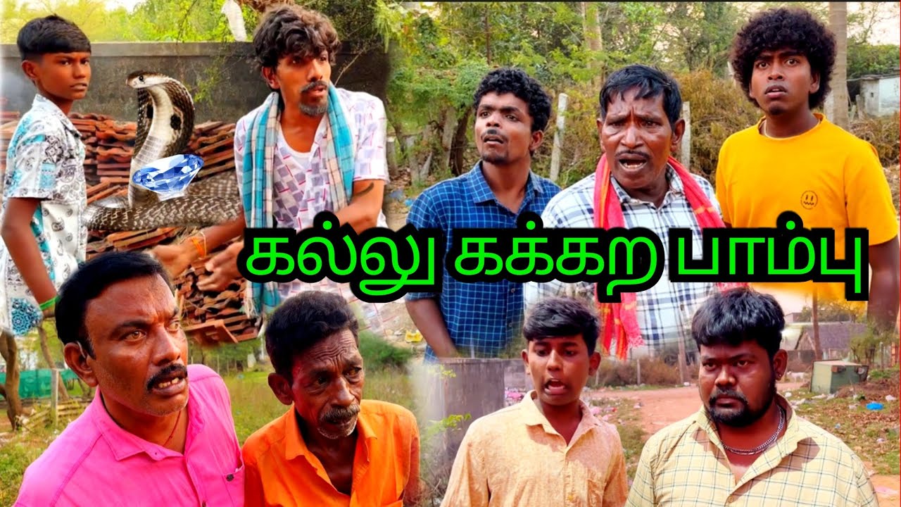 பாம்பு பிடிக்க 10 பேர் இந்தப் பாம்பு மாணிக்க கல் கக்குமாம் | Pana Matta