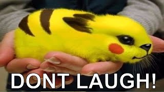 You Laugh You Lose #7 - WebM Compilation - Funniest Videos 2016
