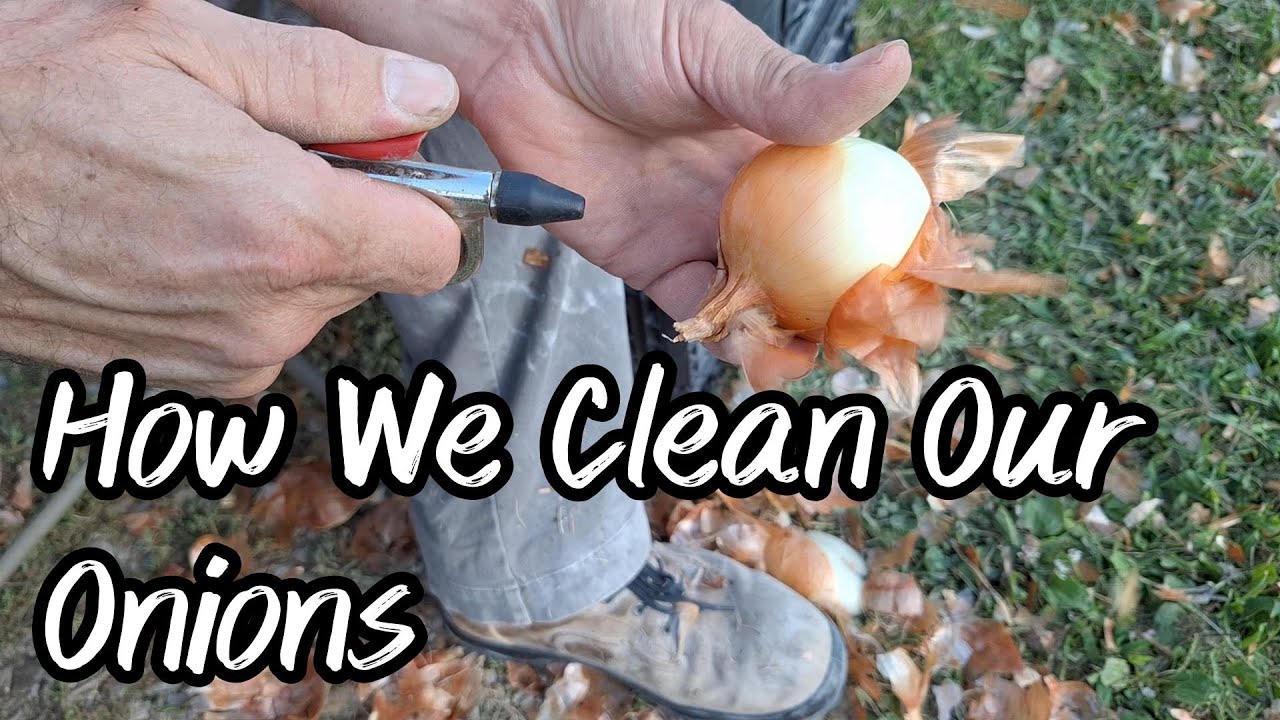 Air Compressor to Clean Onions - YouTube