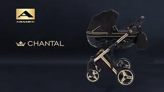Обзор детской коляски Adamex Chantal