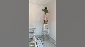 Dulux primer apply interior wall 🧱||#shorts #ytshorts #trending #interiordesign #2025 #shortvideo
