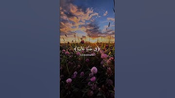 ﴿ في جنة عالية ﴾ ♥️ سورة الغاشية ، عبدالرحمن مسعد #قرآن