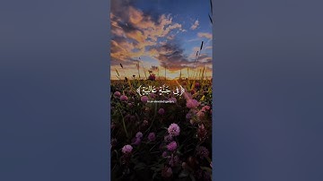 ﴿ في جنة عالية ﴾ ♥️ سورة الغاشية ، عبدالرحمن مسعد #قرآن