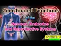 SCIENCE 10 VL Q3 WEEK 1: Coordinated Functions of the Nervous, Endocrine and Reproductive Systems