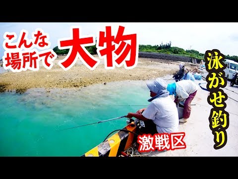 泳がせ釣りでみんなが驚く大物が・・