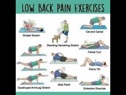 exercises for lower back pain john murtagh - YouTube