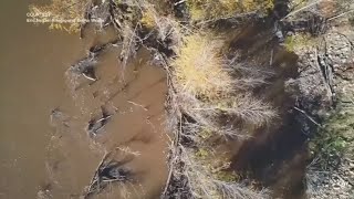 Drone expert helps with search and rescues in Arizona