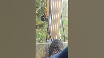 3 ton Forestry Excavator and Tree Shear