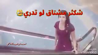 حالات واتس اب شكثر مشتاق لو تدري شكثر مشتاق يا عمري يلتقي بحبيبته بعد فراق طويل😍😍