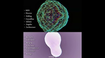 Welke vind je het leukst - Oneindig of Eindig? 🤔 #shorts #fractals