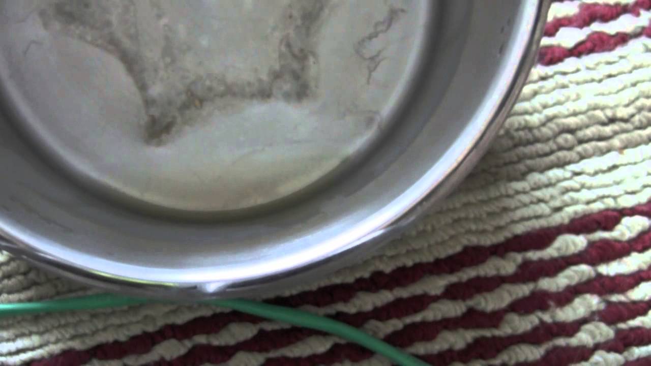 Shocking Truth of What's In Your Tap Water YouTube