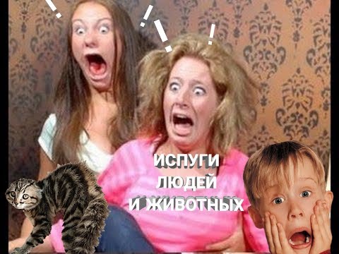 ИСПУГИ ЛЮДЕЙ И ЖИВОТНЫХ || РЖАКА || ЖЕСТЬ