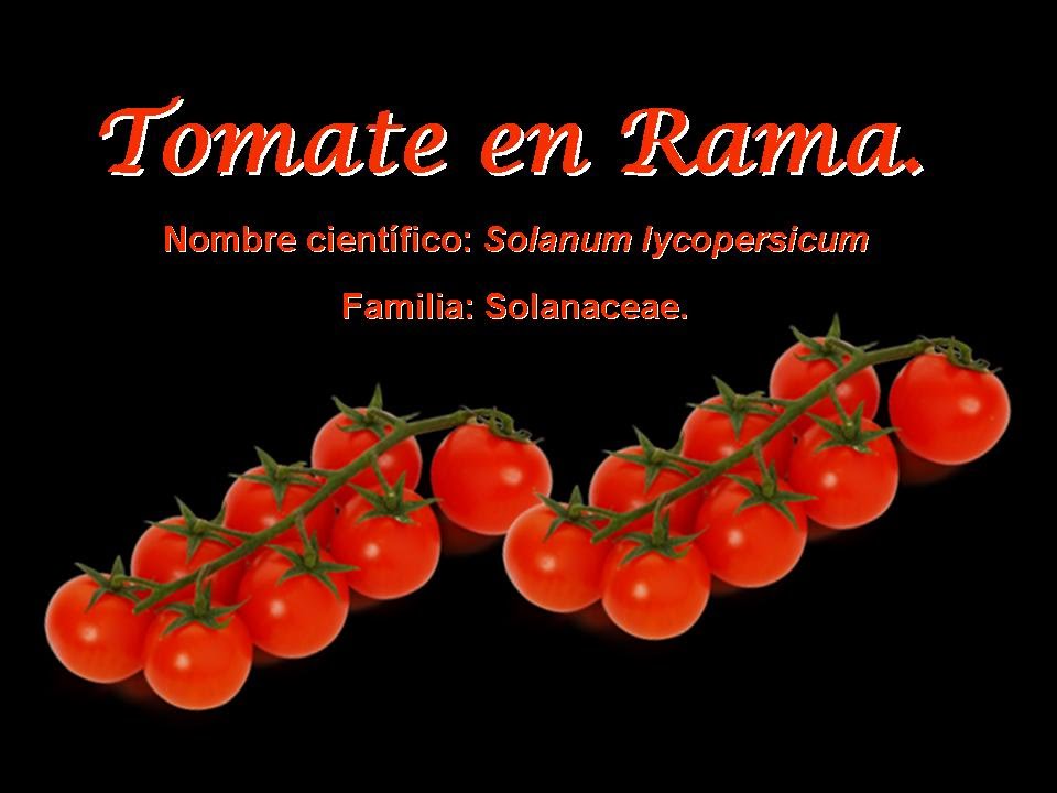Casi especialistas en tomate