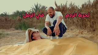 ردمت صديقي الامريكي تحت الرمل في مصر - سيوة