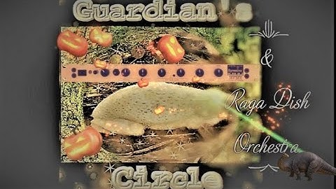 T303 - Guardian