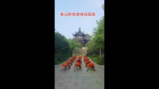 #户外健身# 鳄鱼爬