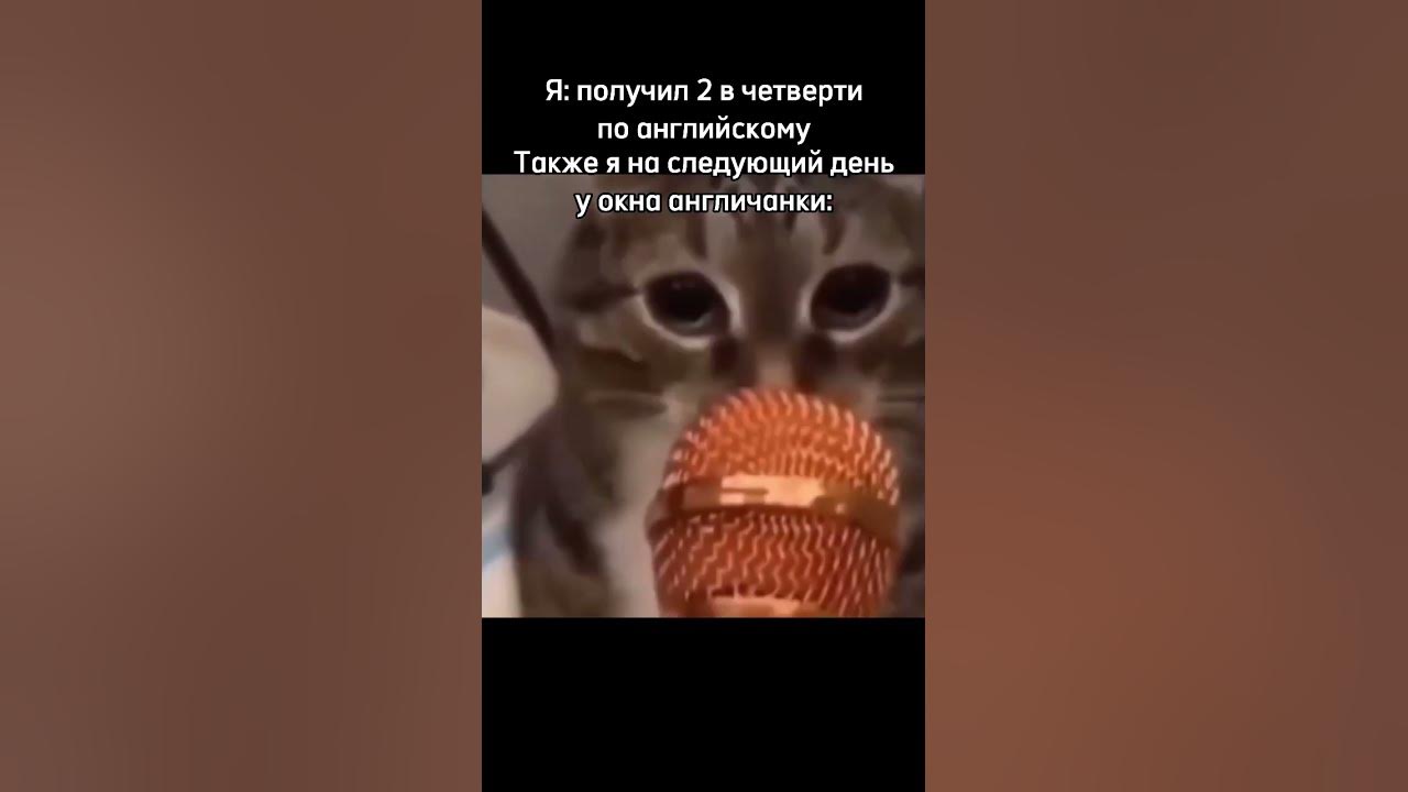 Раша Раша Держава Наша - YouTube