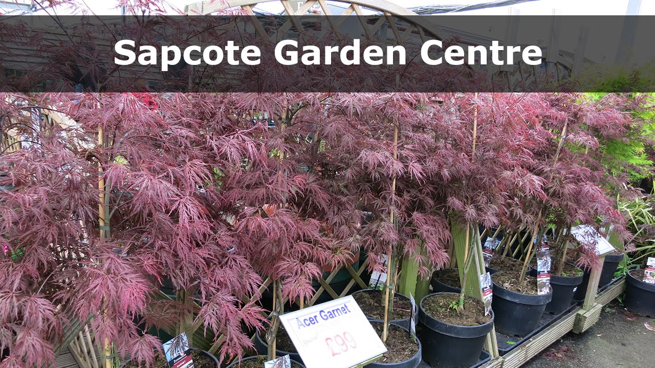 Sapcote Garden Centre In Leicester Garden Furniture Plants