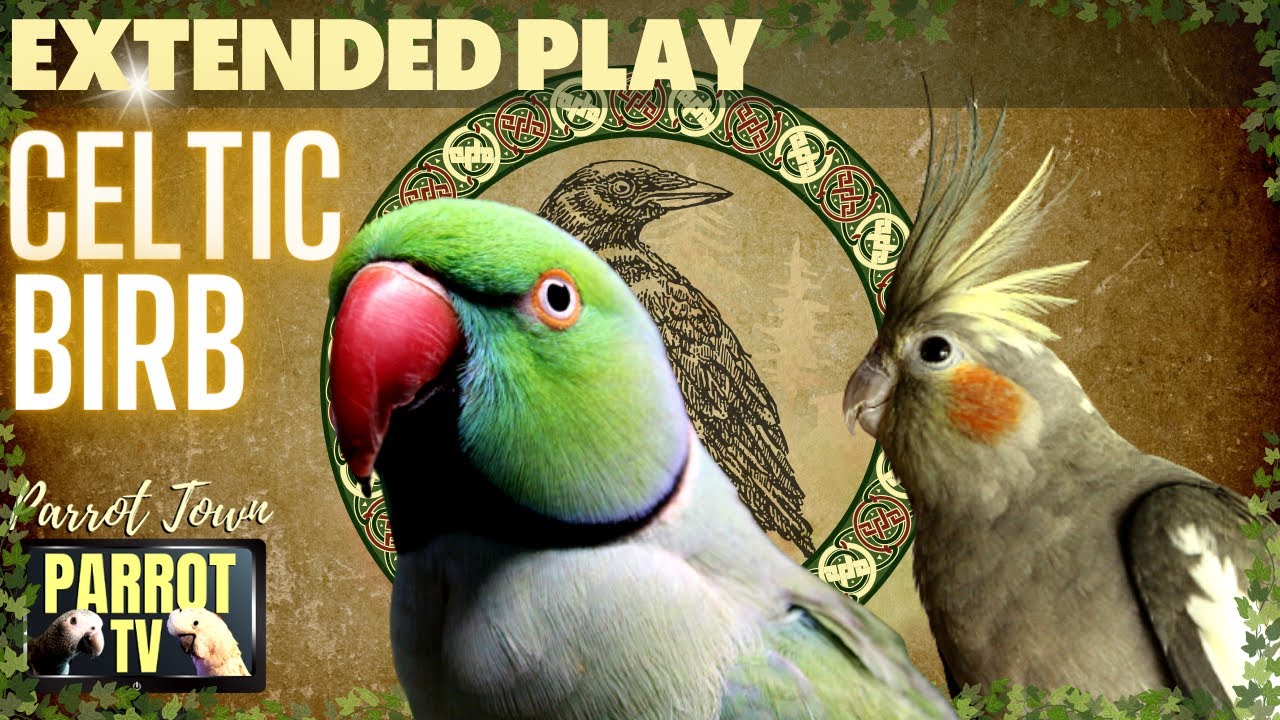 Mystical Bird Link - Juega ahora en