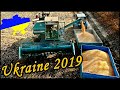 Енисей 1200|Уборка кукурузы Полтава, Купава|Урожай, Влага| Выставка AgroComplex 29..31 октября