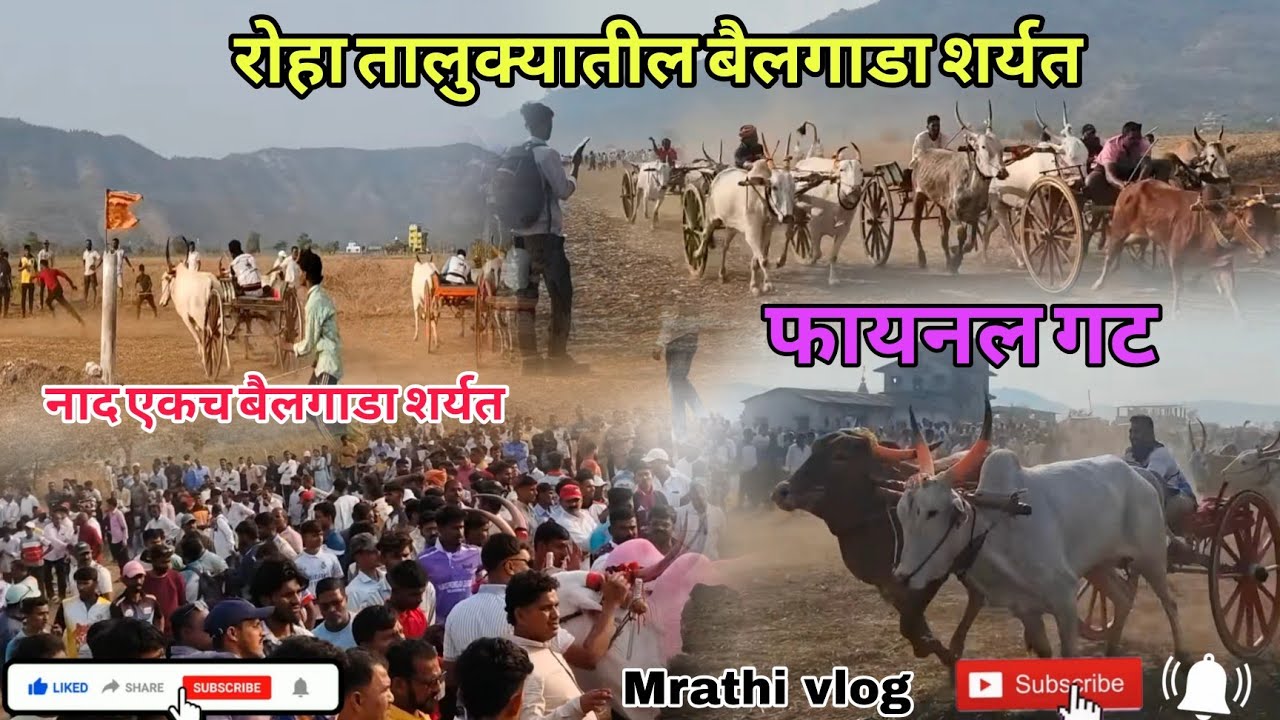 रोहा माणगाव अलिबाग  मुरुड  तालुक्यातील बैलगाडा शर्यत #नाद 😆😂  शेवट नक्की बघा