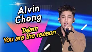 Alvin Chong LIVE STAGE 'Tajam', 'You are the reason' [2019 ASF]