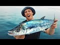 EP 18 - MACKEREL MAYHEM! Sashimi & Butter Fried Catch n Cook (amazing weather) | Catch n Fry