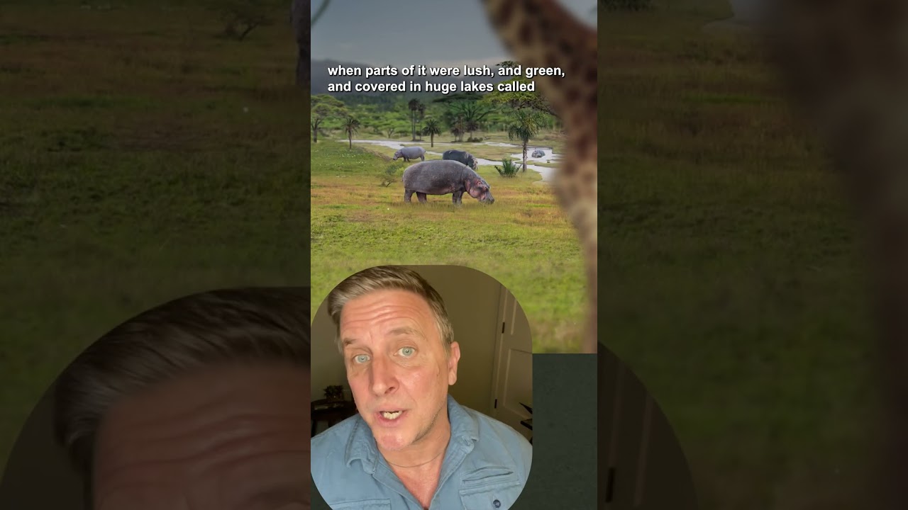 There used to be "Megalakes" in the Sahara 