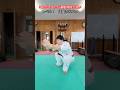 【武道・武術】これができたら運動神経が良い！？何レベルまでできるか！！　#aikido ＃karate #martial #武道 #空手＃合気道＃筋トレ#selfdefens