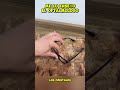 Hacks para limpiar tu lentes 👓Truco increible 👓