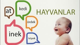 Canlılar Hayanlar, Böcekler - İlk Kelimeler Slayt