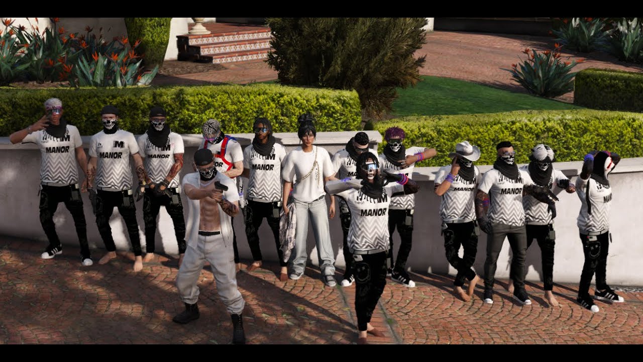 6 ASLAN VS 20 TÜREME #vizyonerrp #mdrp #mdfrp #fivem