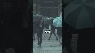 룰렛이 정한 제주 랜덤 여행, 성공일까 실패일까?