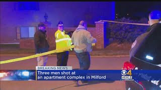 Father, Son Among 3 Shot In Milford Apartment