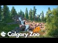 Prehistoric Trails | Calgary Zoo in Planet Zoo Ep.8