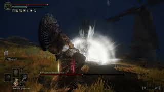 66.Elden Ring - Convergence Mod All bosses - Апостол Божественной Кожи