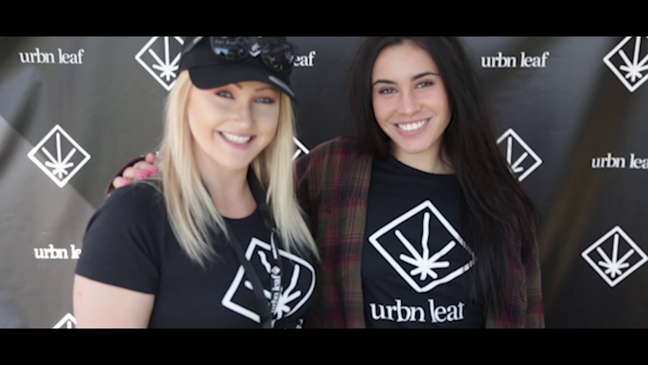 BAYKED Festival 2018 Recap