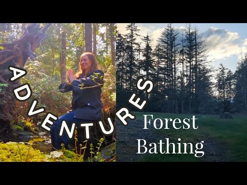 My Forest Bathing Adventures on Vancouver Island #forestbathing # ...