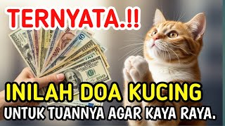 Diamdiam Kucing Mendoakan Tuannya Ini Rahasia Yang Jarang Diketahui
