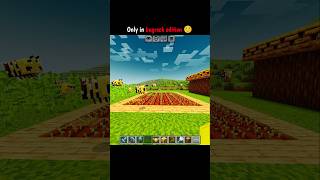 Minecraft farming with bees 🐝#usa