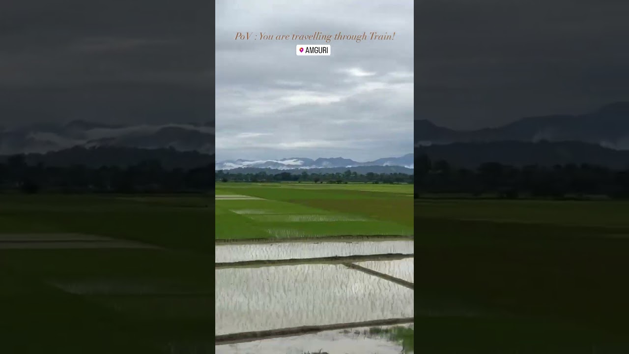 🏔️🤍🌳🕊️✨ 