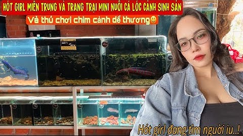 Khu nuôi Cá Lóc cảnh sinh sản của Hót Girl Miền Trung Quảng Ngãi - Thái Salem vê lốc