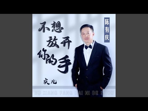 不想放开你的手