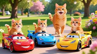 Mama Cat Trims Fur on the Farm and Makes Tiger Hat For Kittens At Home🐾🎩🐯