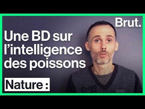 Vidéo: Intelligence Des Poissons - À Quel Point Les Poissons Sont-ils Intelligents ?