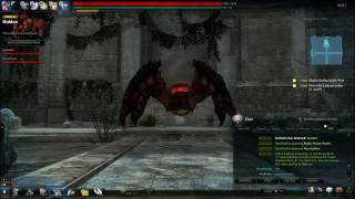 VindicTus (EU) Hidden Duo Party