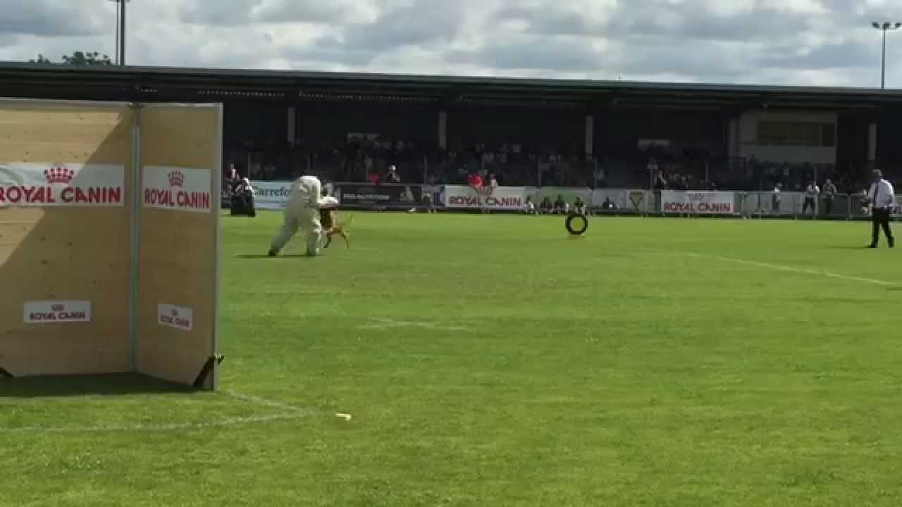 Ring Finale 2015 - Domérat - Best of Axel Villain