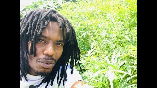 Inside a Discreet Grow in Kenya